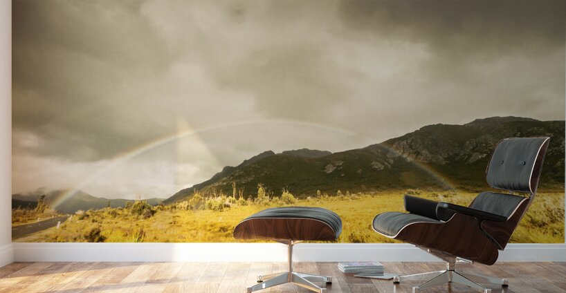 Raindrops in rainbows Wall Murals