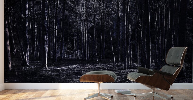 Night thicket  Wall Murals