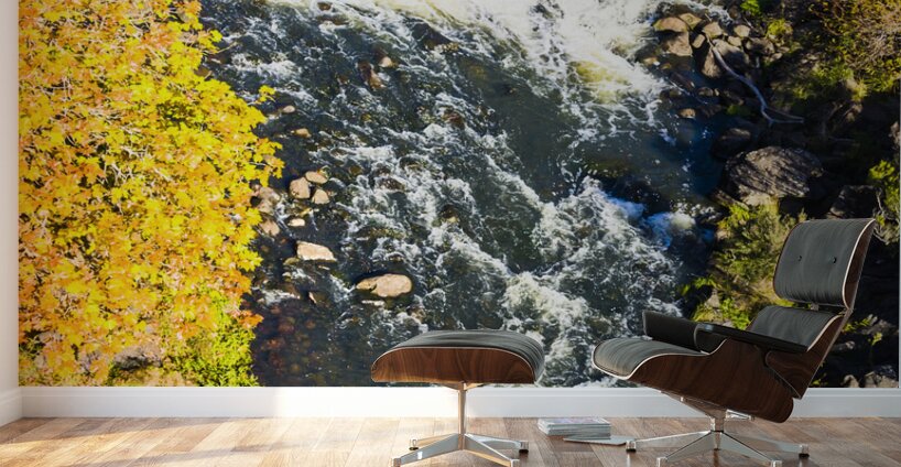 Gorge Bridge Wall Murals