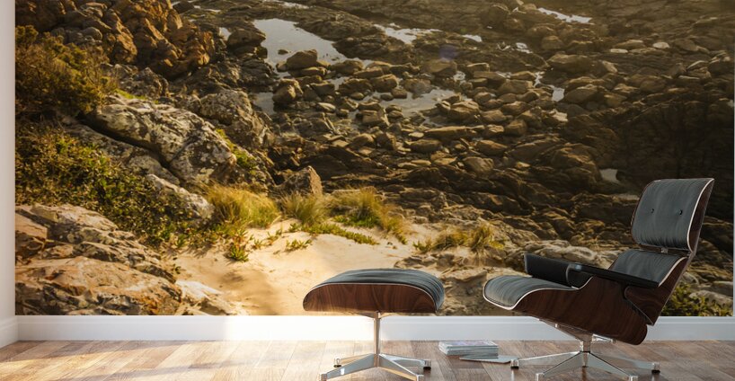 Shoreline Sunshine Wall Murals