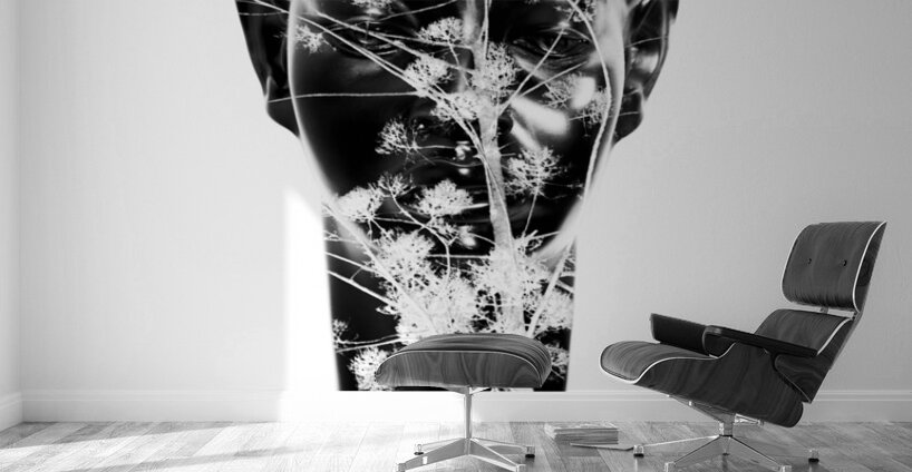 To plant a seed Wall Murals