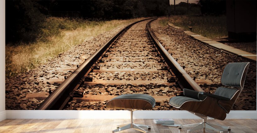 Train Tour Of Darkness Wall Murals