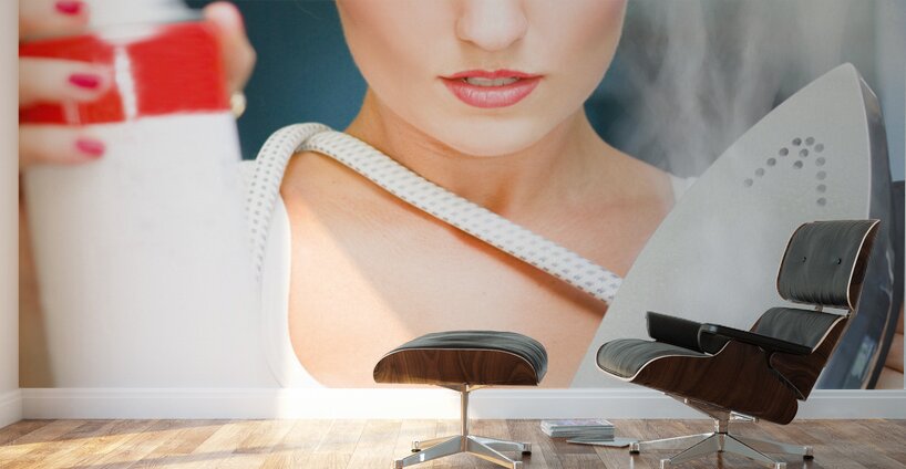 Laundry And Ironing Business Wall Murals