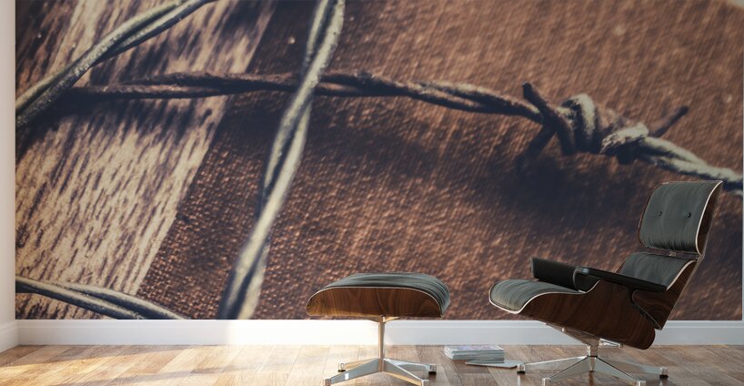 Control and confidentiality Wall Murals