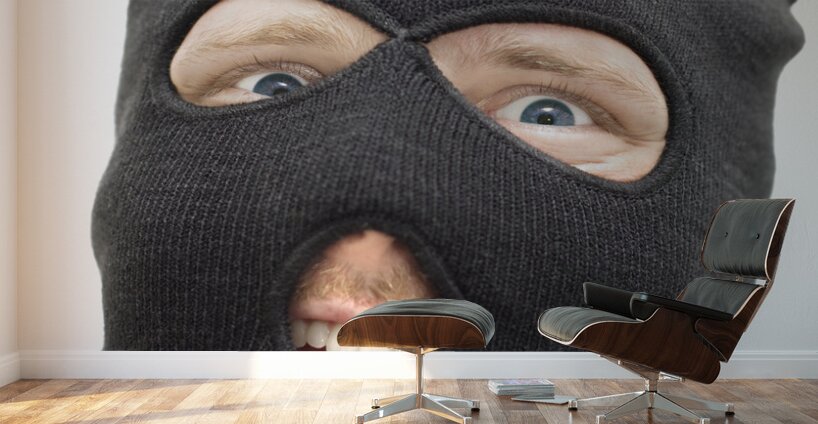 Cheeky Criminal Wall Murals