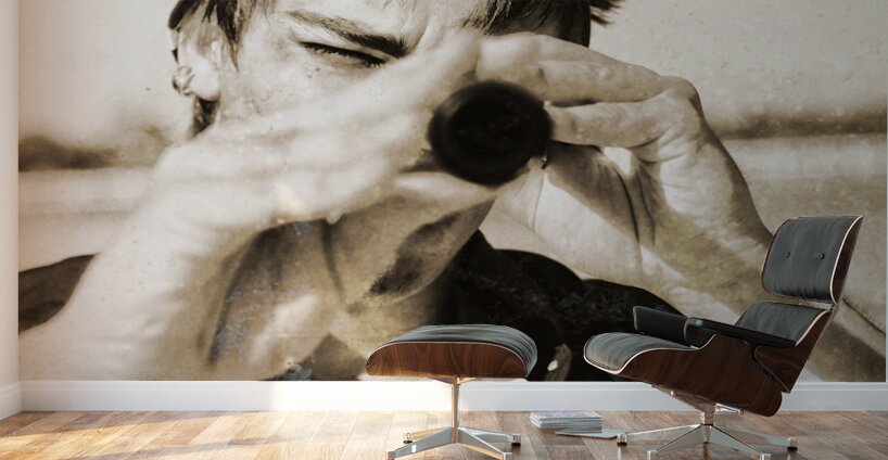 Vintage Explorer Wall Murals