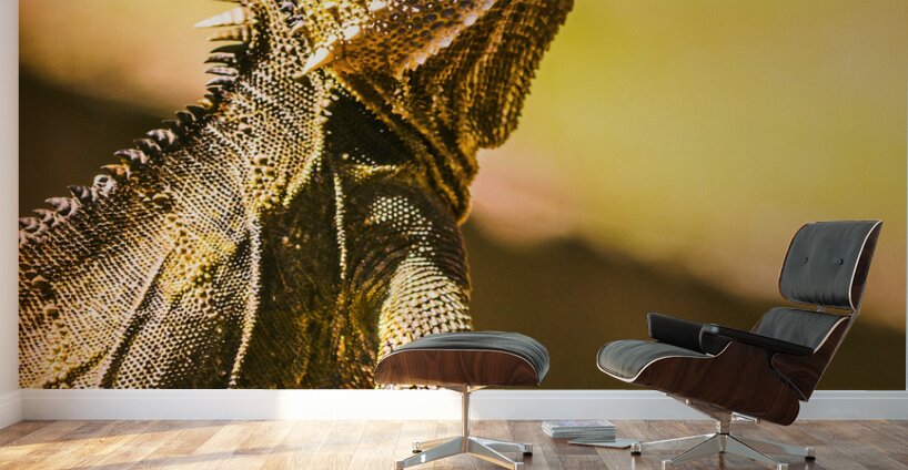 A predators portrait Wall Murals