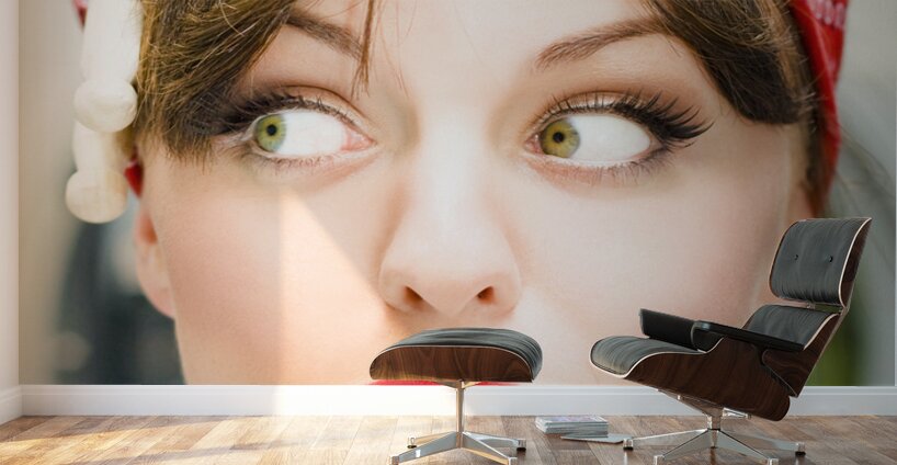 Crazy About House Work Wall Murals