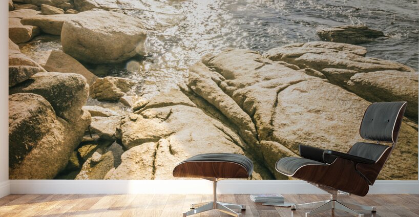 Bicheno foreshore Wall Murals