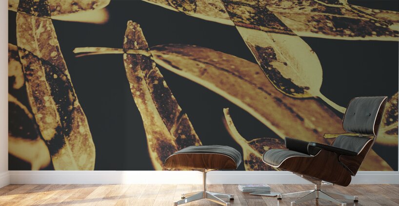 Sepia toned image of floating eucalyptus leaves Wall Murals
