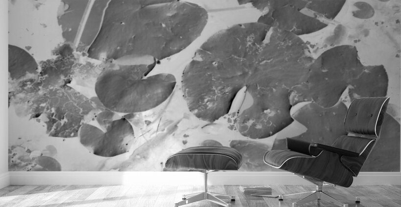 Floating abstraction Wall Murals