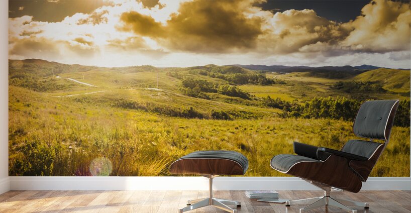 Gorgeous golden sunset field  Wall Murals