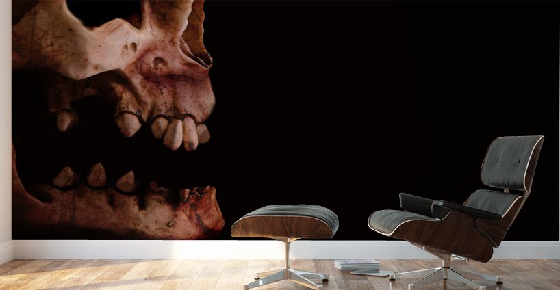 Scary Skull Wall Murals