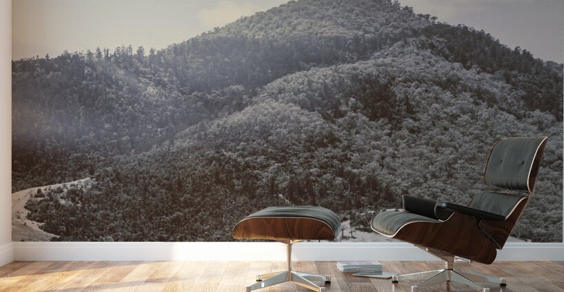 Sun lit serenity Wall Murals