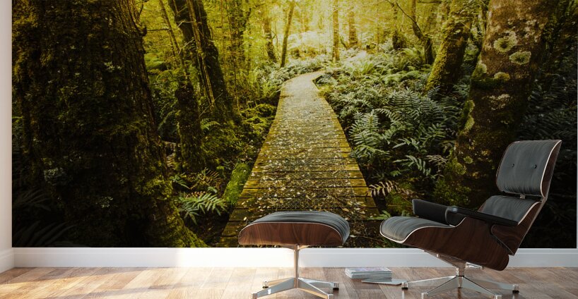 Tarkine Tasmania Trails Wall Murals