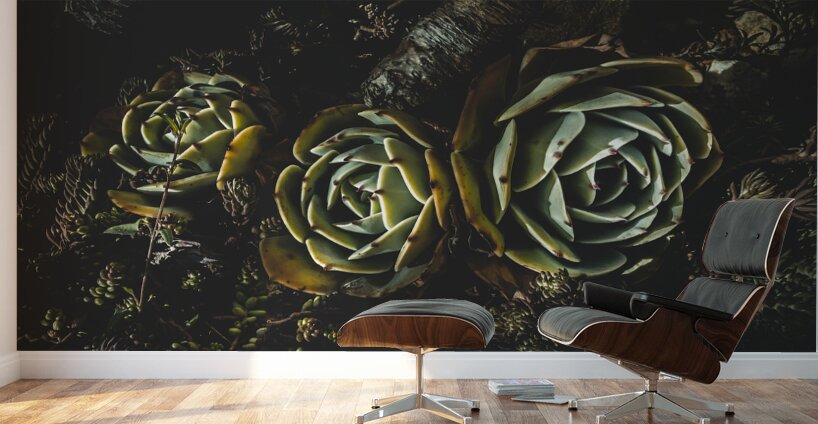 In dark bloom Wall Murals