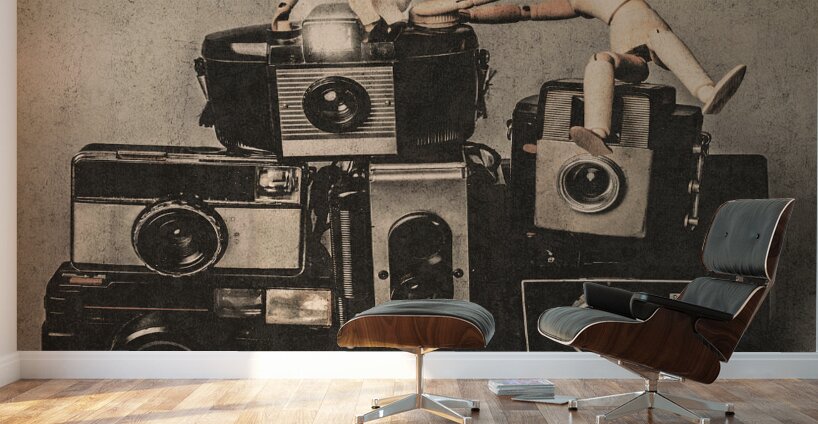 Momentous Wall Murals