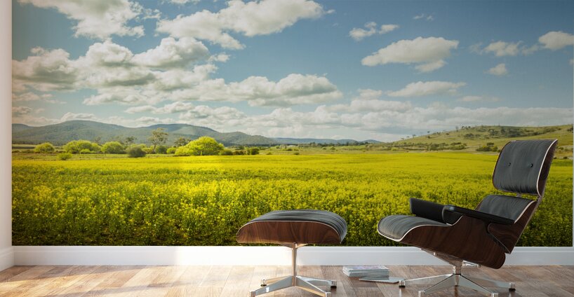 Farmland colour Wall Murals