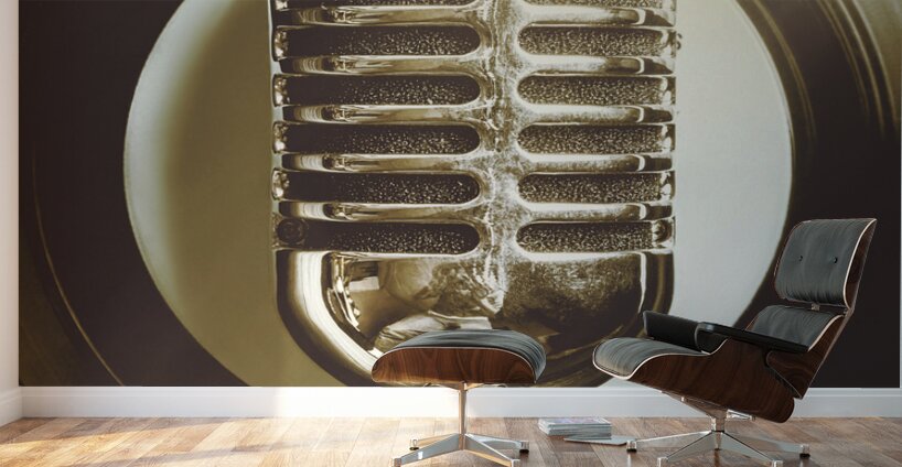 Round sound Wall Murals