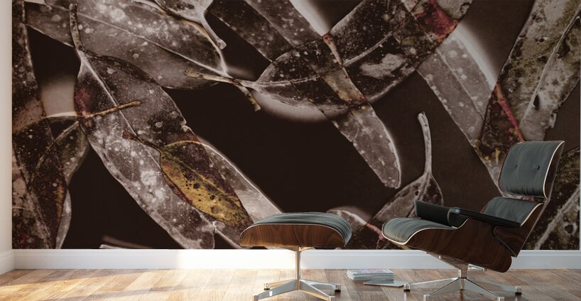 Nature in design Wall Murals