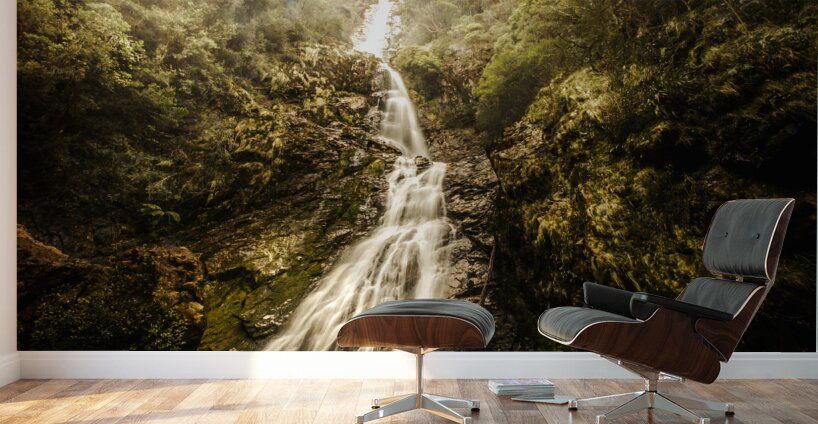 Montezuma Falls Tasmania Wall Murals