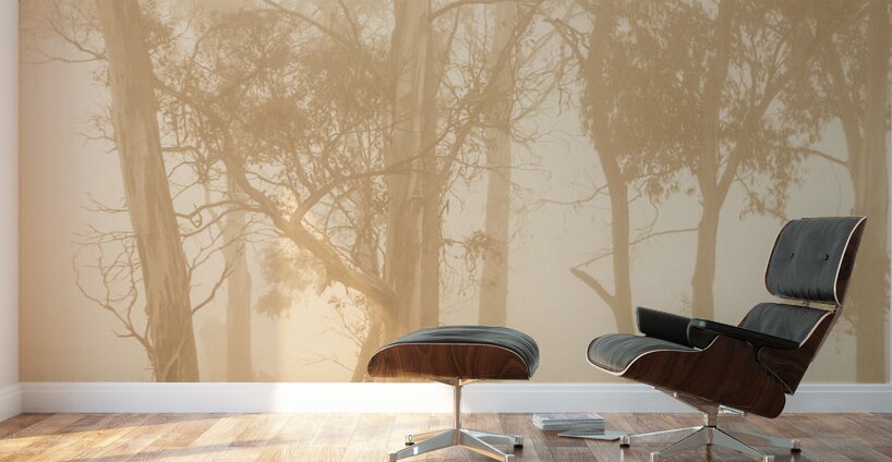 Misty woods Wall Murals
