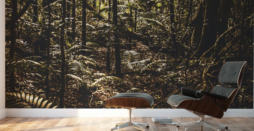 Mary Cairncross Scenic Reserve Wall Murals