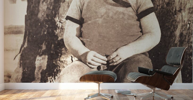 ww2 wingman holding the forte Wall Murals