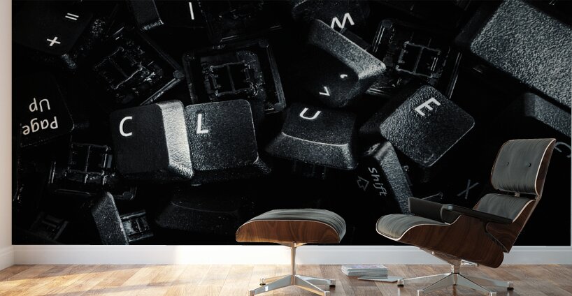 Hidden by a coverup conspiracy Wall Murals