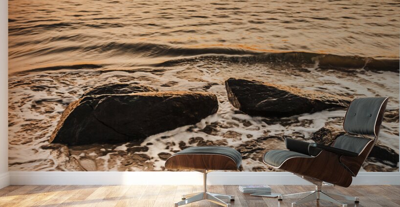 Morning Tide Wall Murals