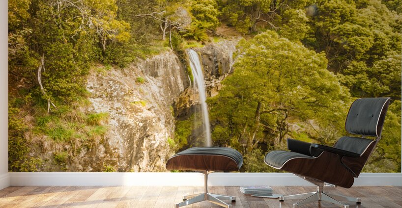 Scenic forest falls Wall Murals