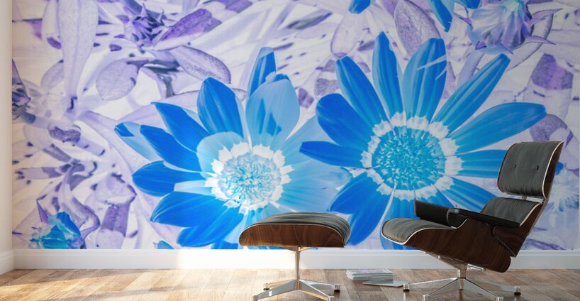 Gazania blue Wall Murals