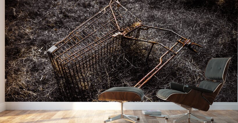 Coming to a store near you Wall Murals