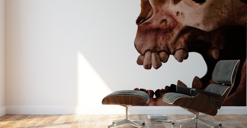 Horror Head Wall Murals