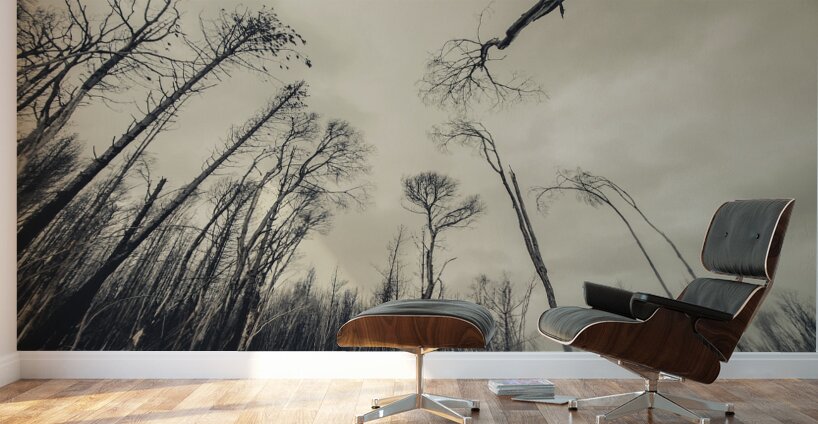 Haunting wood Wall Murals