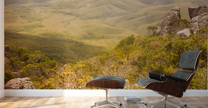 Tasmania bushwalking views Wall Murals