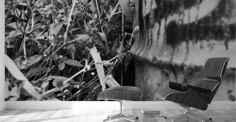 Sneaky The Clown Wall Murals