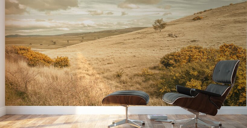 Meandering hills Wall Murals