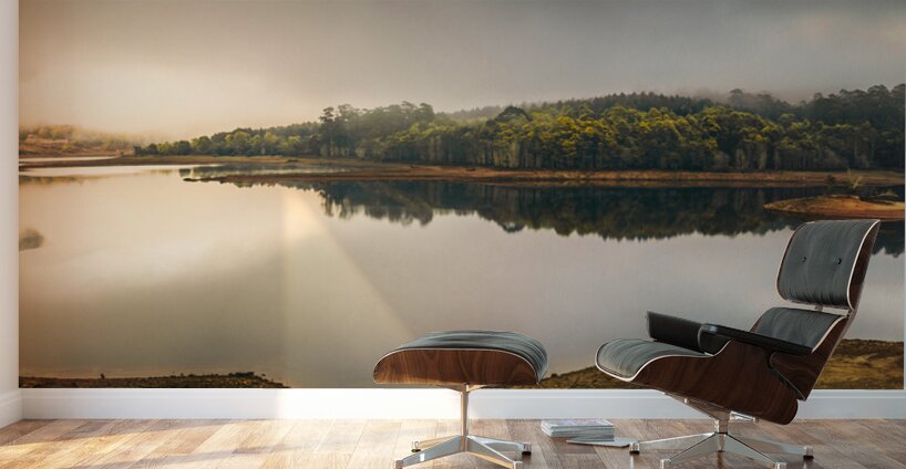 Pastel lake panorama Wall Murals