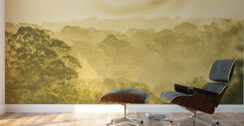 River Vista views Wall Murals