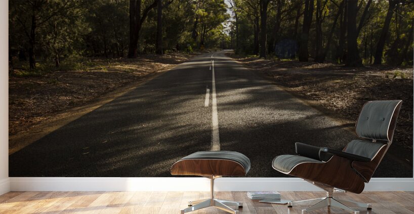 Forestry road landscape Wall Murals