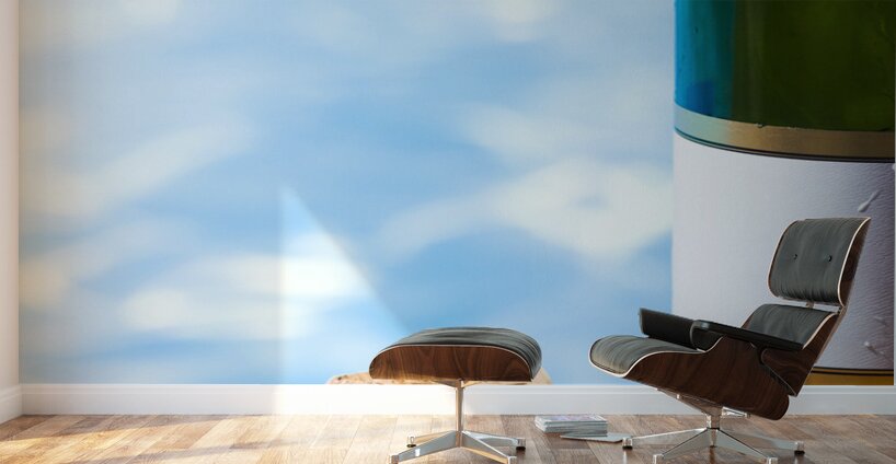 Summer Party Wall Murals