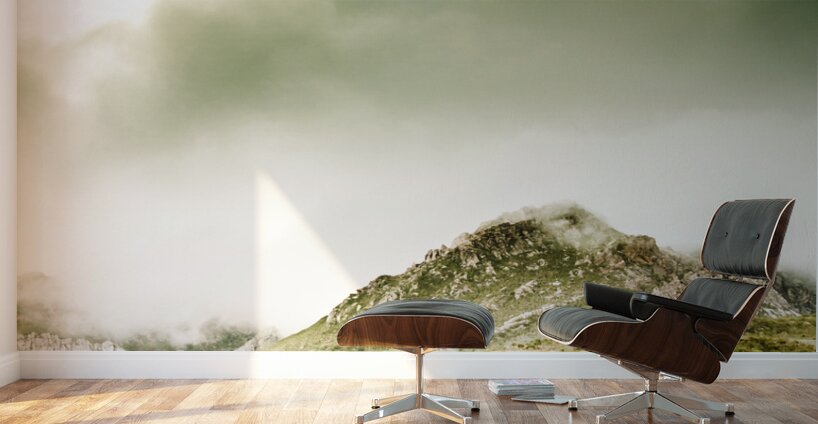Temperate alpine terrain Wall Murals