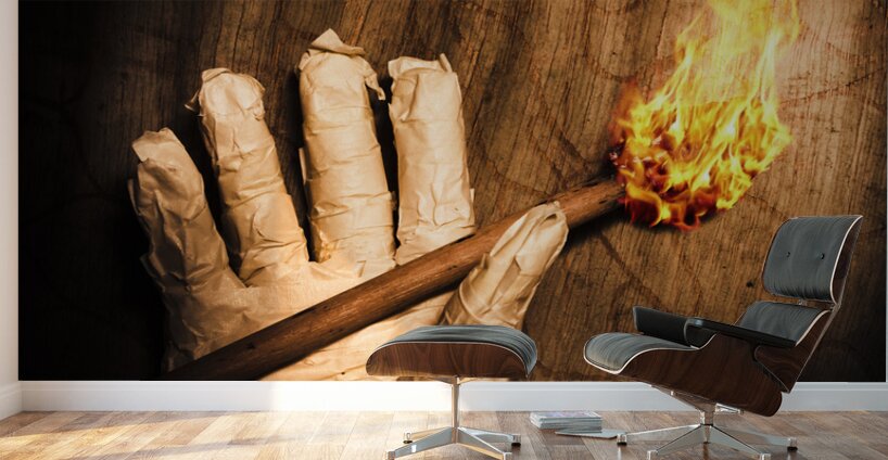 Curse of the tomb robber Wall Murals