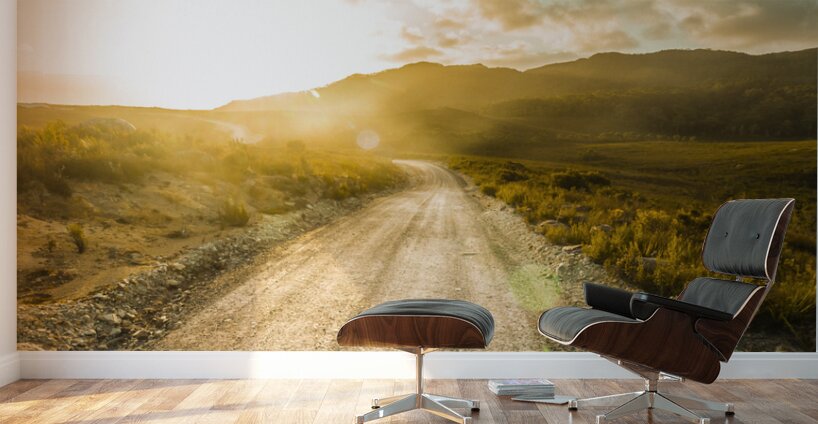 Last light lane Wall Murals