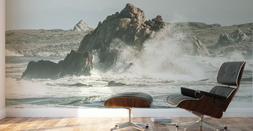 Aquatic spray Wall Murals