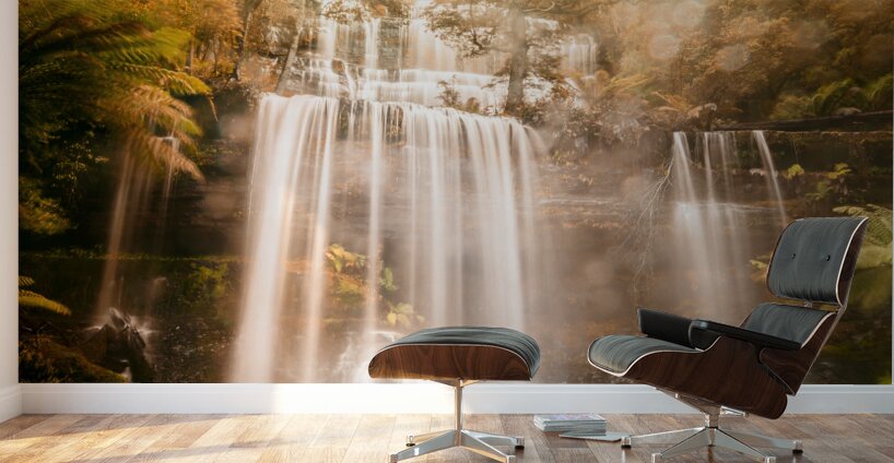 Fall of autumn  Wall Murals