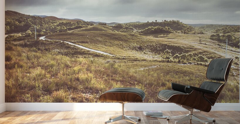 Afternoon pastures  Wall Murals