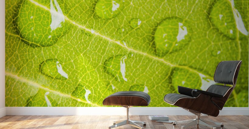 Summer rain Wall Murals