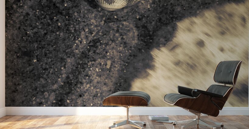 Ocean Rush Wall Murals